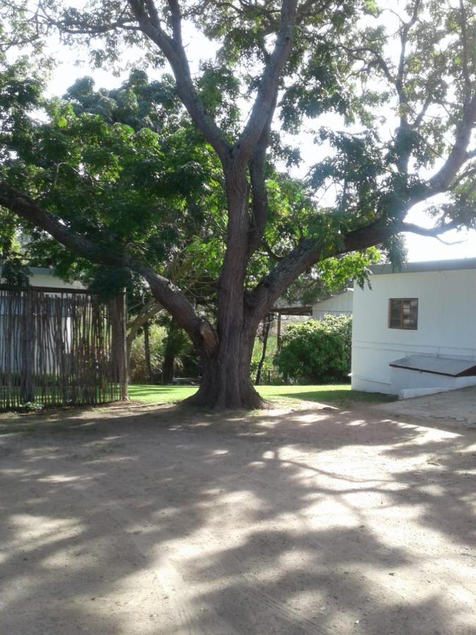 Woodpecker Plettenberg Bay Exterior foto